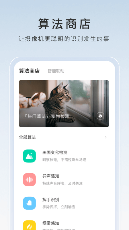 网络,文字M找主人截图